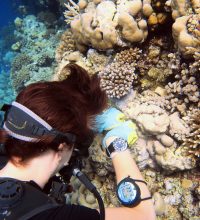 b-www-instagram-compbkifmysh3po_4_orig