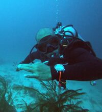 httpswww-instagram-compcgin5qcb1vv_orig