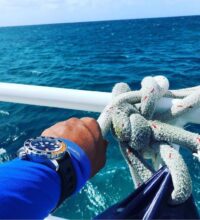 httpswww-instagram-compcjkd-pyl90p_orig