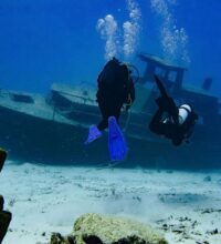 httpswww-instagram-compcqusmtsrdfg_1_orig