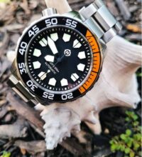 httpswww-instagram-compcsij-ifl1a_1