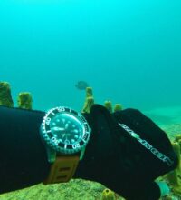 httpswww-instagram-compctajjd-lnx5_1_orig