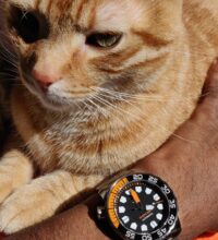 www-instagram-compb-2nzdohxw7_2_orig