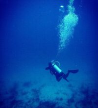 www-instagram-compb2fdnp9bc-t_1