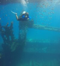 www-instagram-compb2puy0pb4tn_1_orig