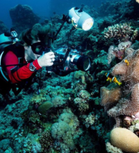 www-instagram-compb3uvtqqasqn_orig