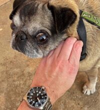 www-instagram-compb7vqhzhi2x5_1_orig