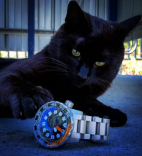 www-instagram-compbjzdvzflhbv-x_2_orig