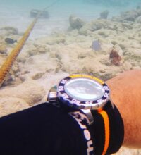 www-instagram-compbtzikjhbt-z_4_orig