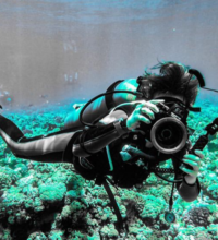 www-instagram-compbvrdwvflkrx_1