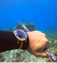 www-instagram-compcgi6dxrbgdj_2_orig