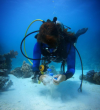 www-instagram-compcuav-jdq8pw_1_orig